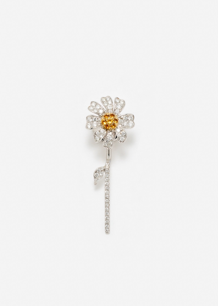 PUCE & DESSOUS MARGUERITE OR BLANC