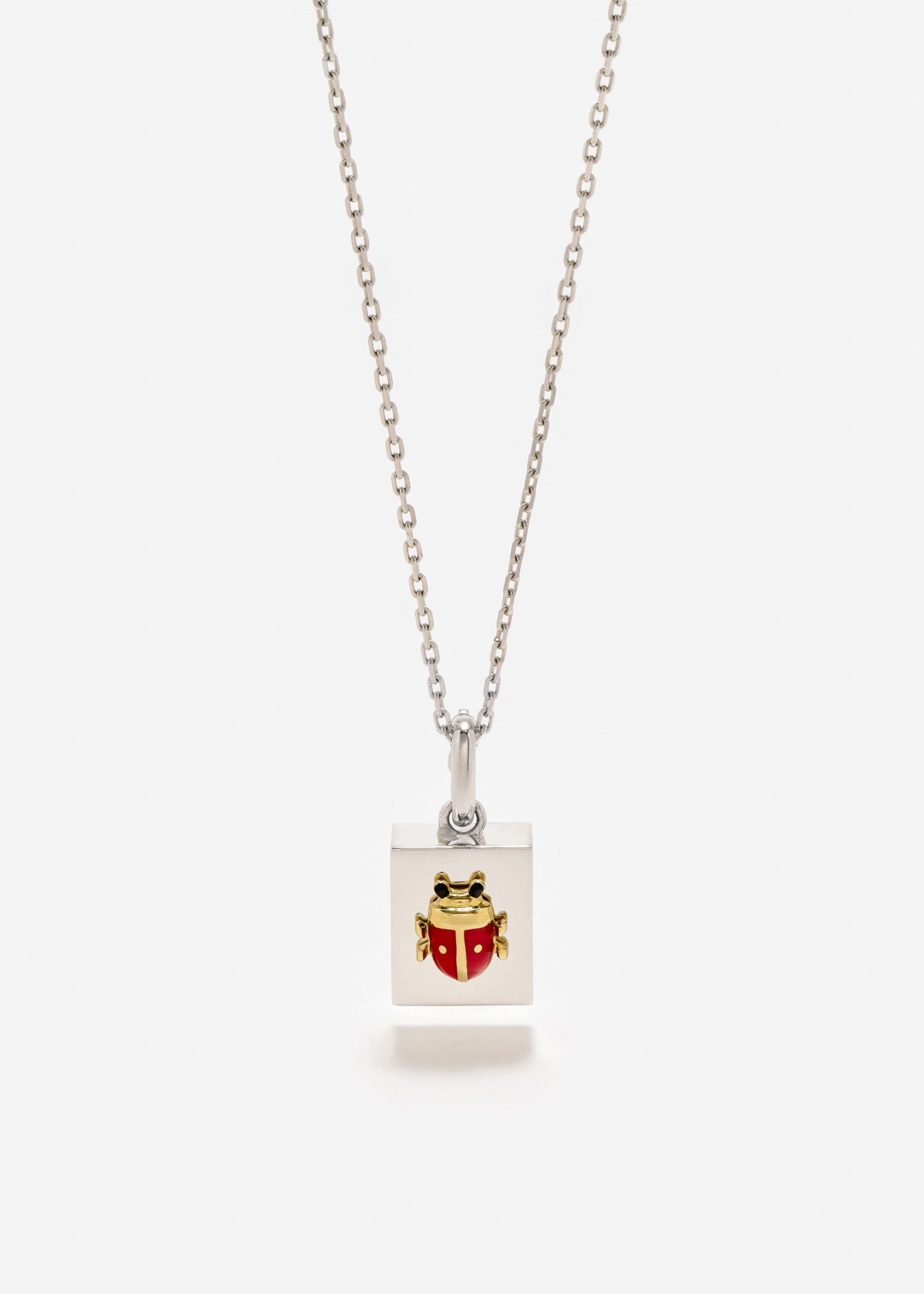 Cubo Corail + Chaîne Diamants Or Jaune + Nano Puce Cœur Toutou_vue 1_HD.jpg