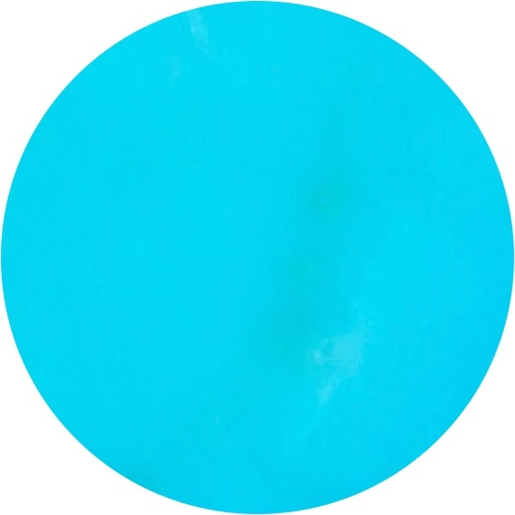 Turquoise (55)