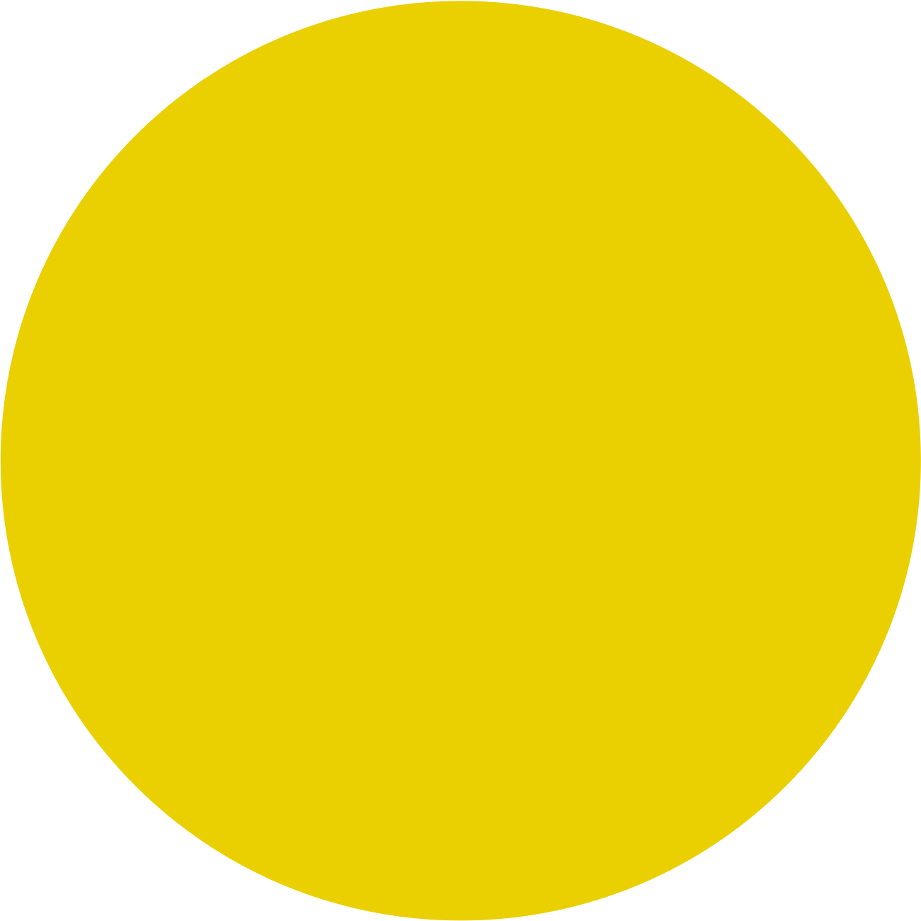 Jaune (43)